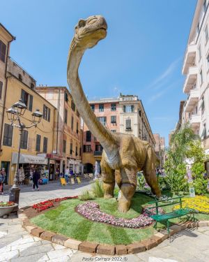 locandina concorso carasco fiorito