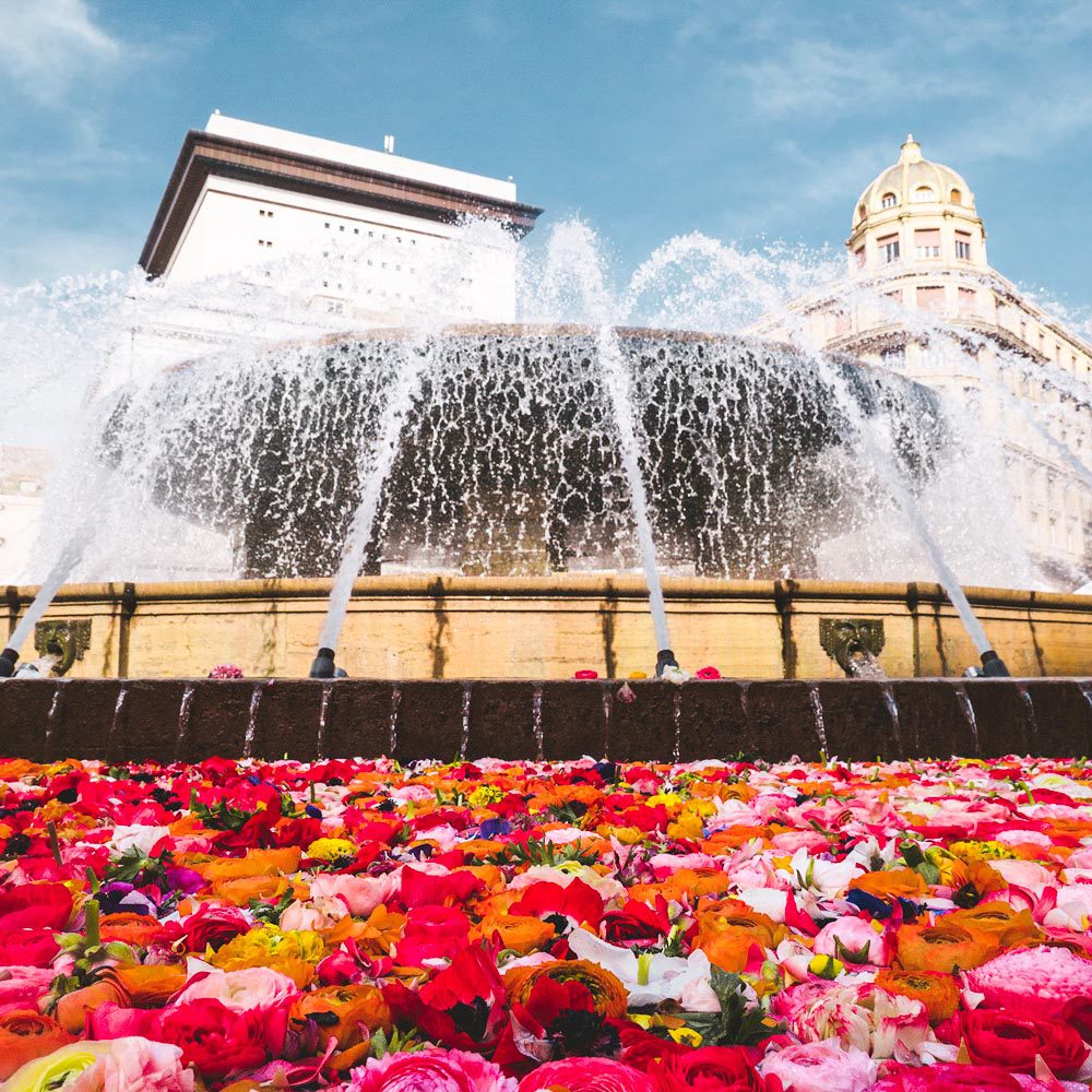 Uno straordinario percorso armonico dove l’acqua dialoga con fiori e specie botaniche rare