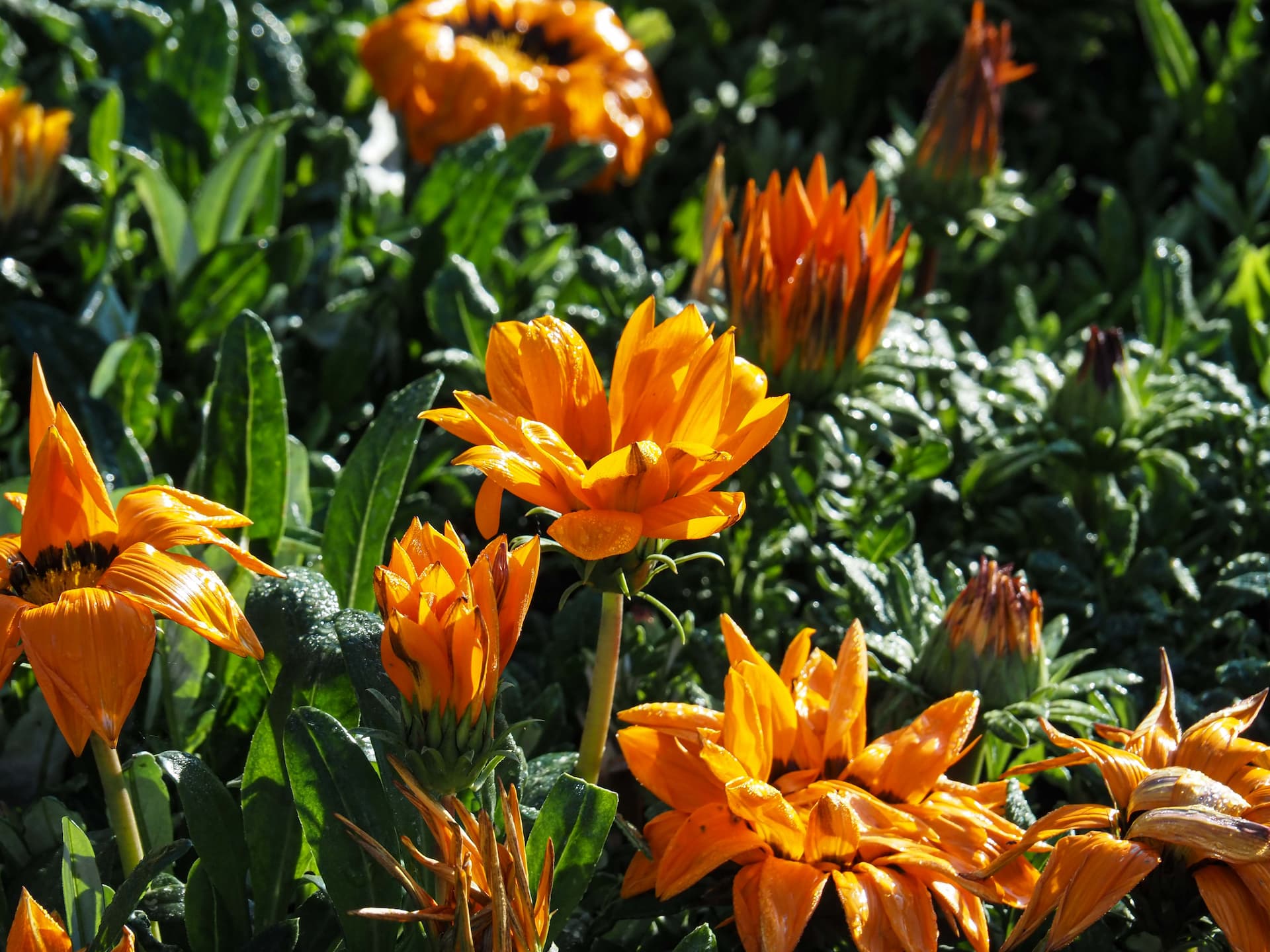 Scopri ARS URBANA CONTEST 