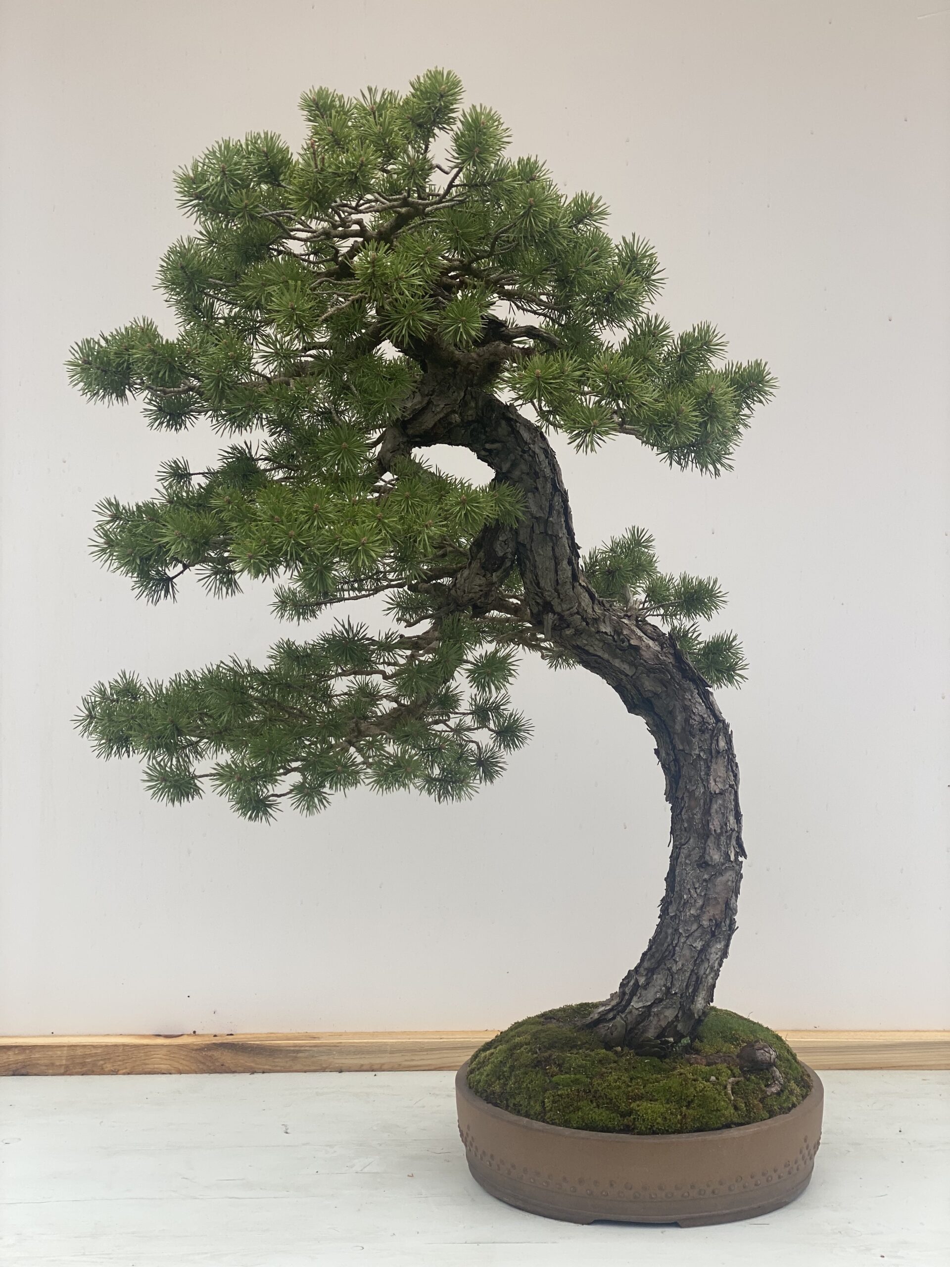 Prezzo Speciale Over 60 1° Maggio