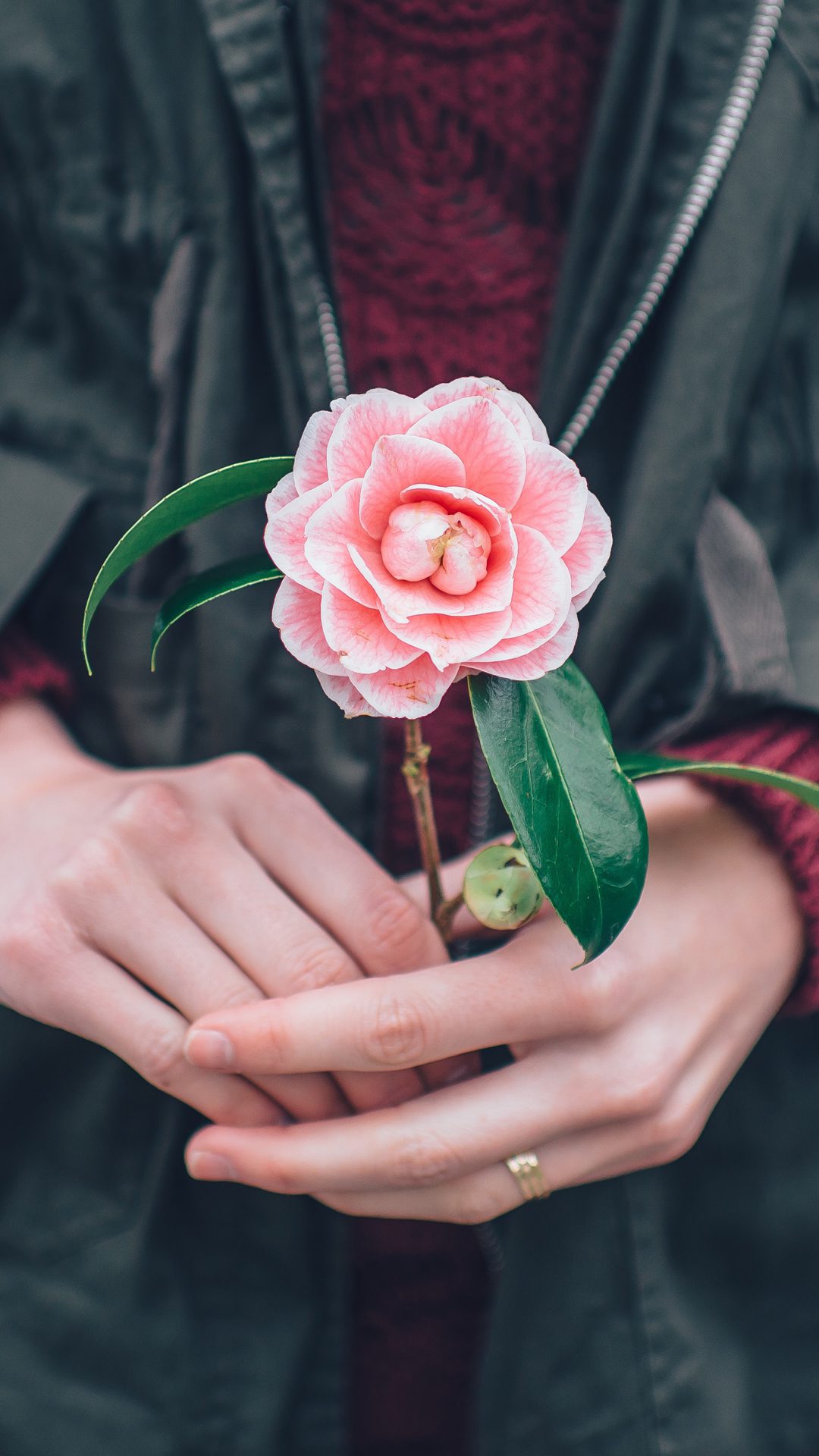 Giornata contro la violenza sulle Donne