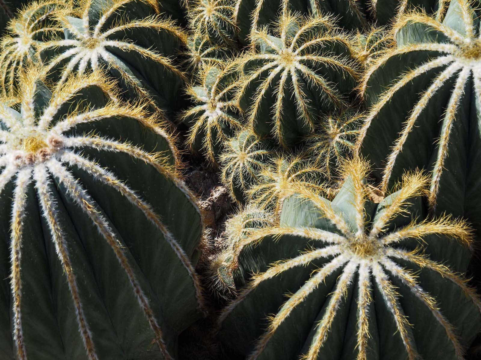 Scopri EUROFLORA’S B2B INITIATIVES