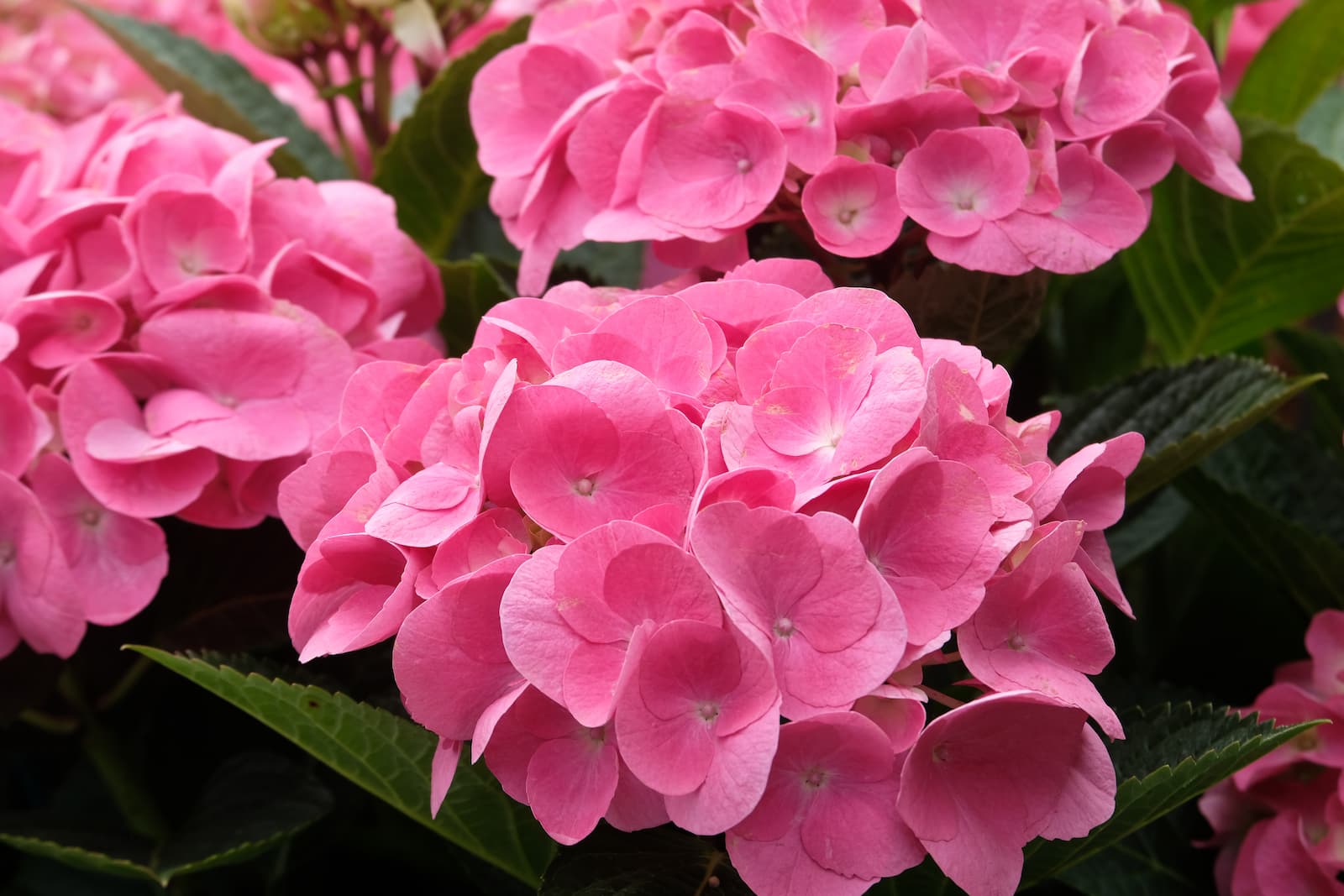 OVERLOOKING THE SEA. THE NEW EXHIBITION SPACES 