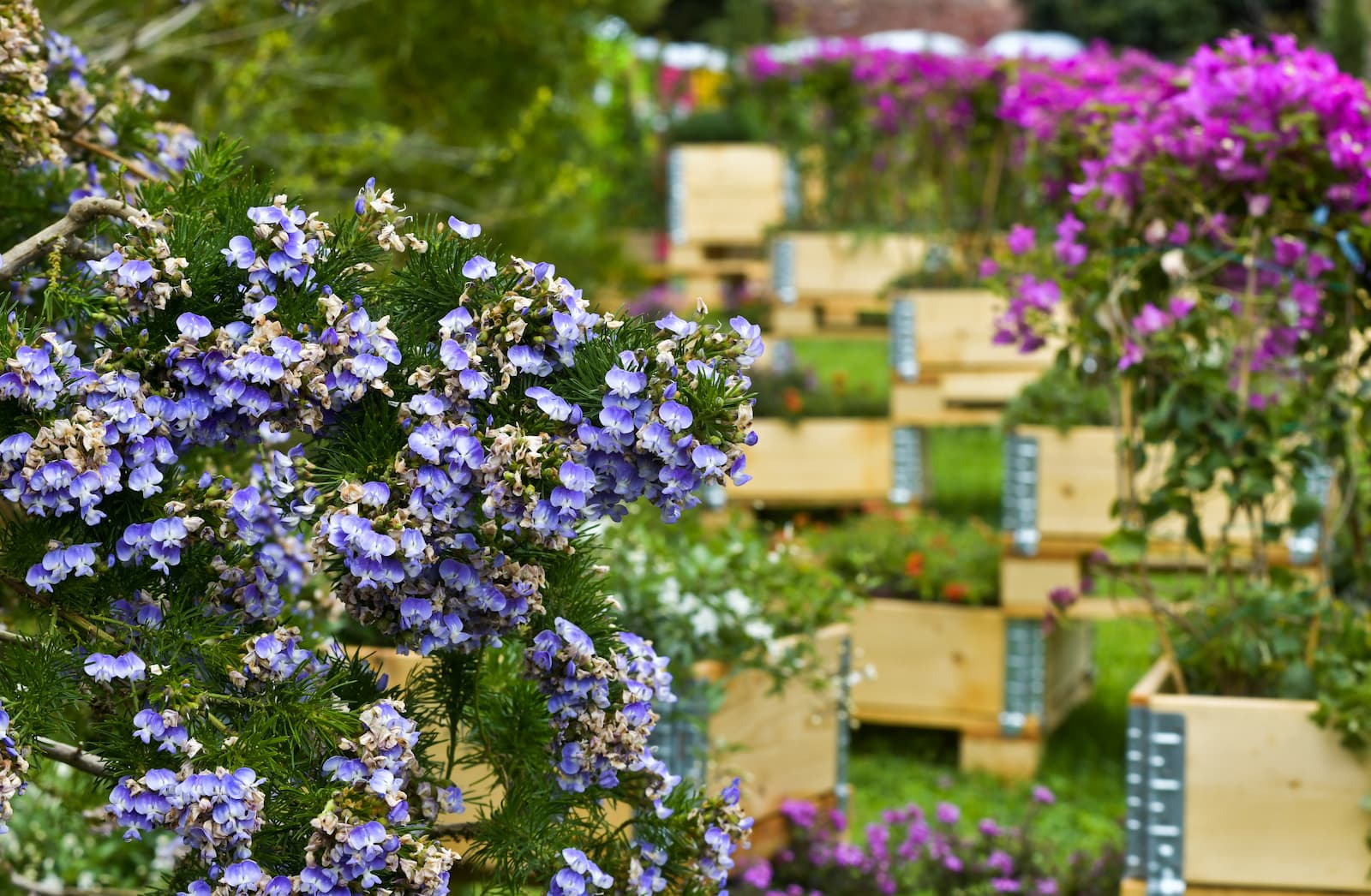 ARS URBANA – EUROFLORA 2025 LAUNCHES ITS DESIGNER COMPETITION