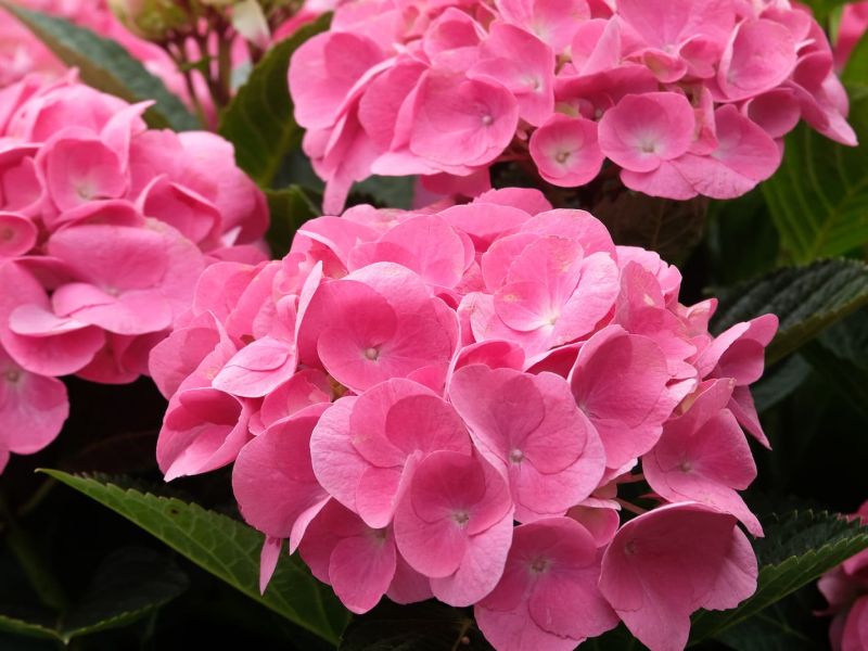 Scopri La musica si fa spazio,  con i concerti della “rinascita”