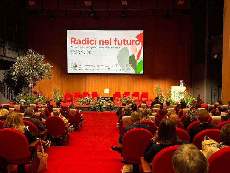 Scopri DALLE RADICI AL DOMANI